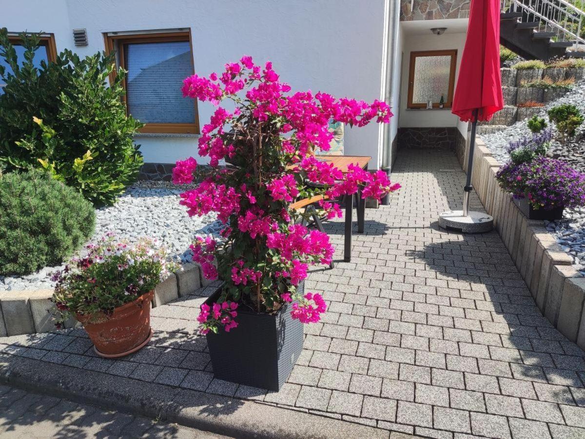 Ferienwohnung Moselzeit Alken Exterior foto